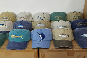Fish Fish Sayings
